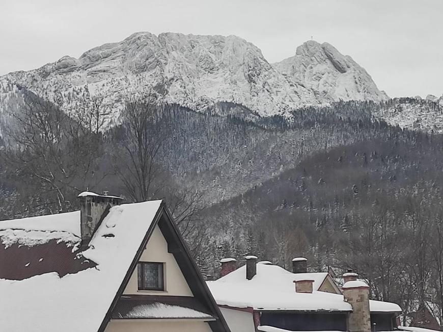 Appartamento Arnika Wynajem Pokoi Zakopane Esterno foto