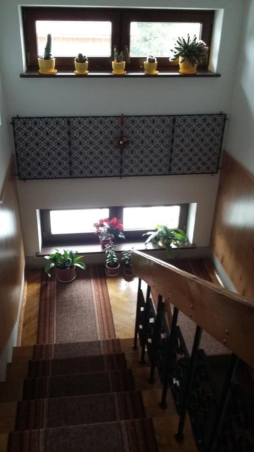 Appartamento Arnika Wynajem Pokoi Zakopane Esterno foto
