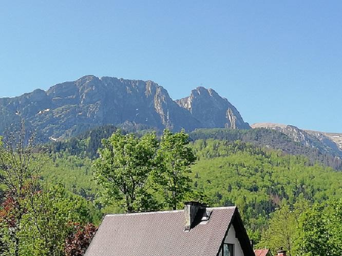 Appartamento Arnika Wynajem Pokoi Zakopane Esterno foto
